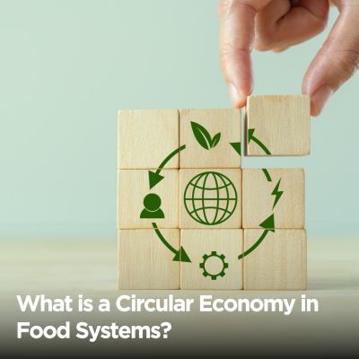 What is a Circular Economy in Food Systems?
